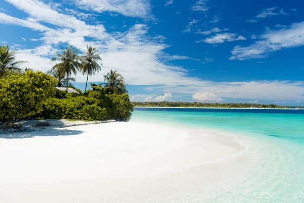 Morena Lounge Beach