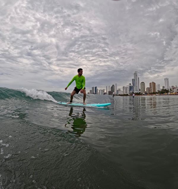 polysurfschool