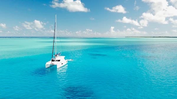 Avalon Charters