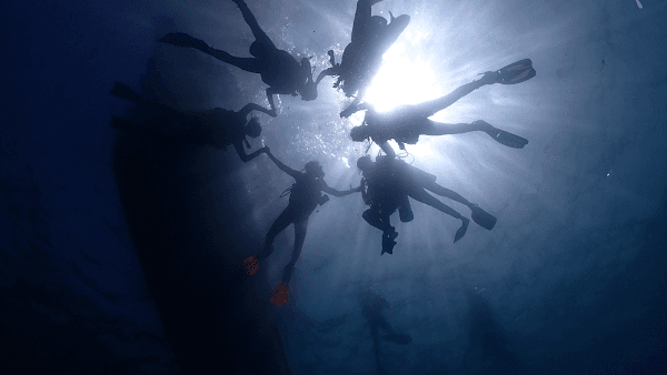 Cartagena Diving Center