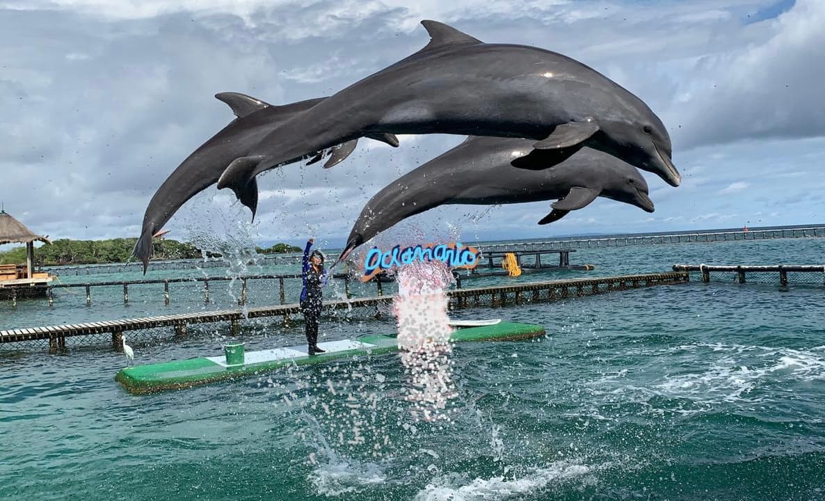 Oceanario Islas del Rosario (CEINER)