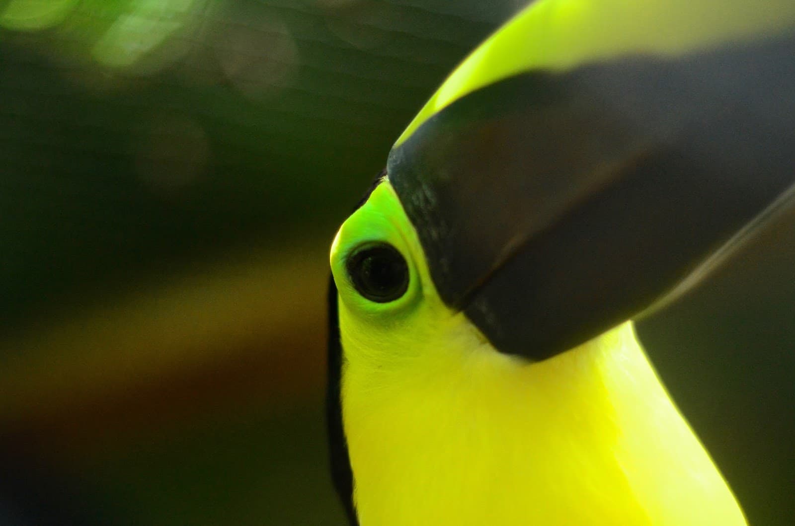 Aviario Nacional de Colombia
