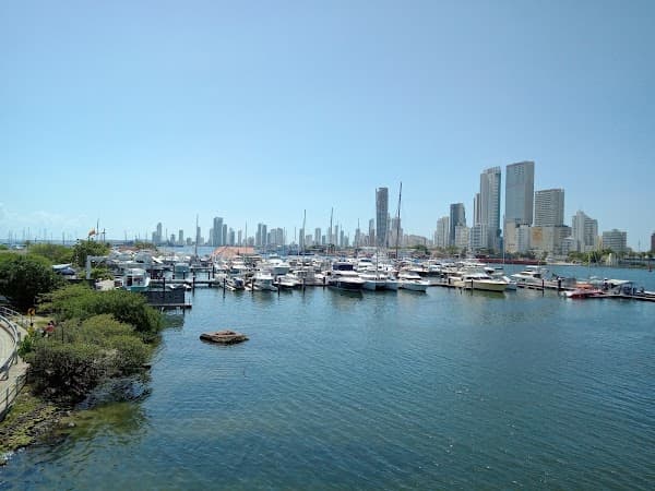 Caribbean Yacht Club