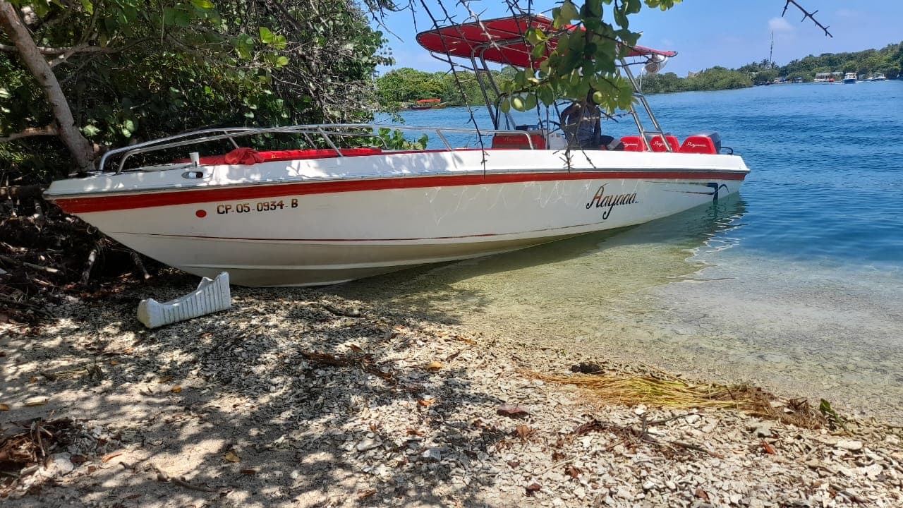 Aayyaa 28 3