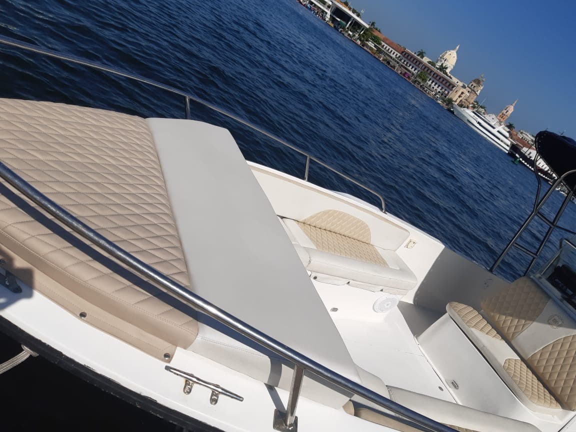 Dorada Pasion 28 4