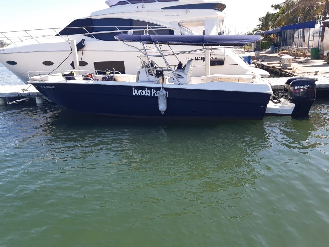 Dorada Pasion 28 5