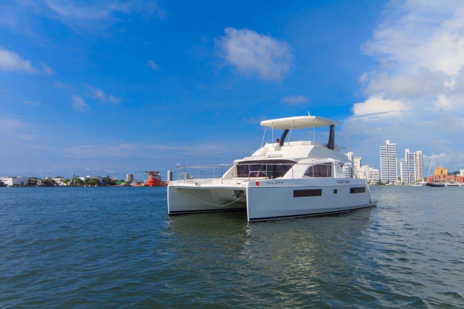 Maxi Powercat Leopard 43 2