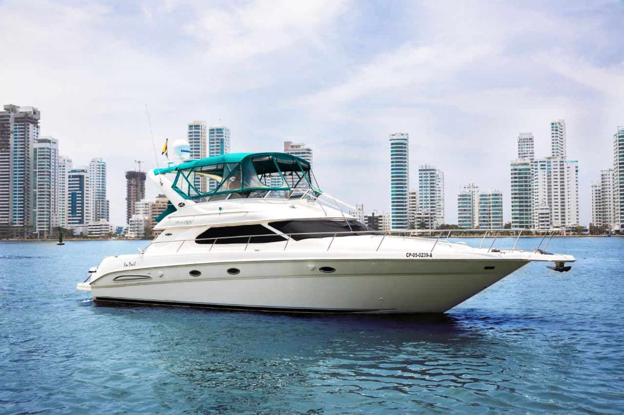 SeaRay Sea Devil 45